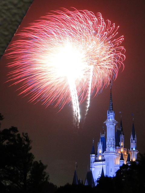 Disney Magic in the Sky