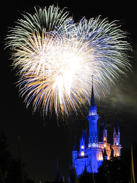 Disney Magic in the Sky