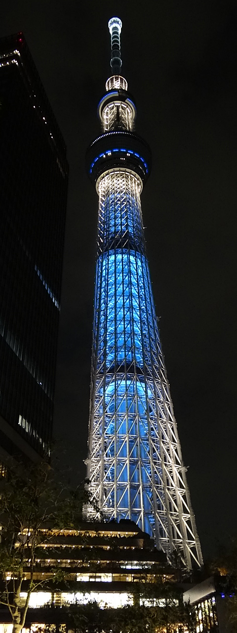 Illuminated TOKYO SKY TREE