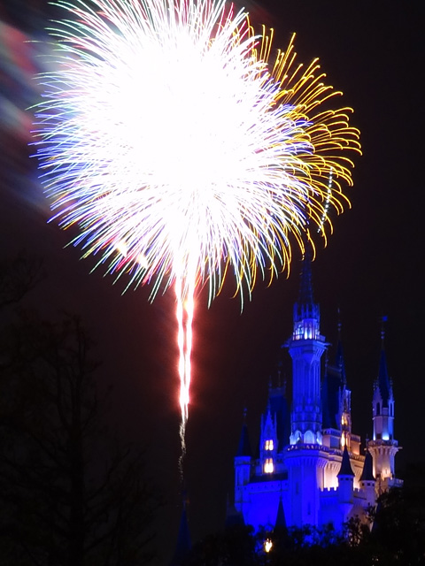 Disney Magic in the Sky