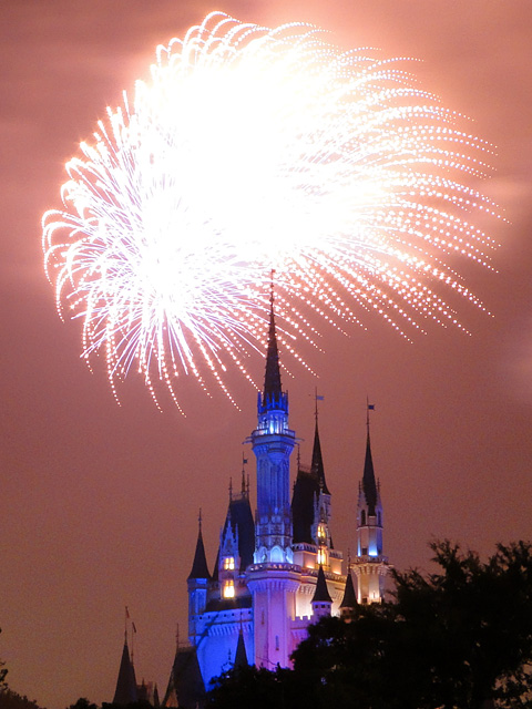 Night High Halloween