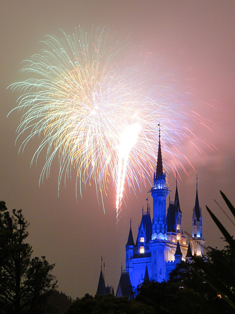 Disney Magic in the Sky