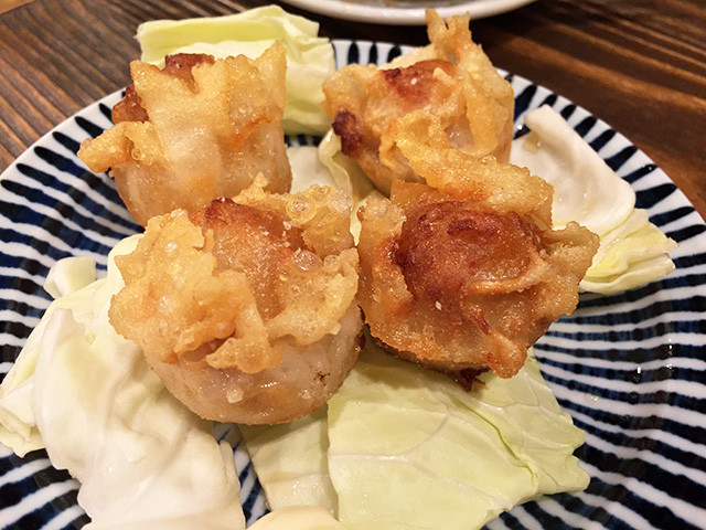 Deep-Fried Meat Dumplings