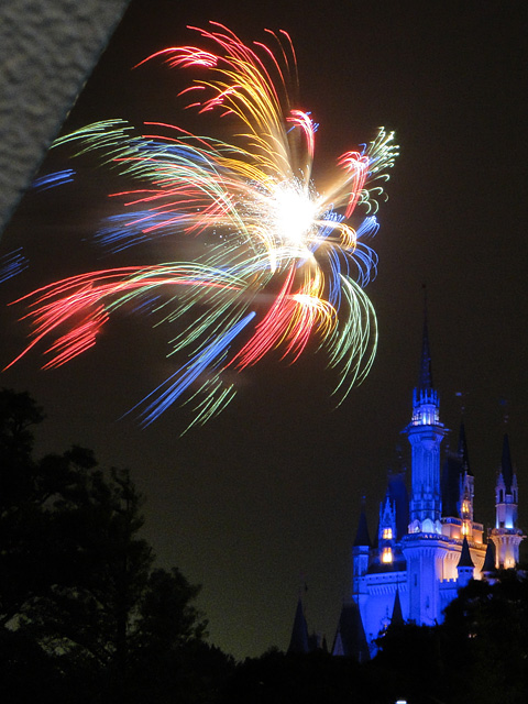 Disney Magic in the Sky