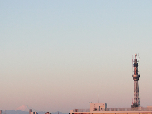 Mt. Fuji and TOKYO SKY TREE