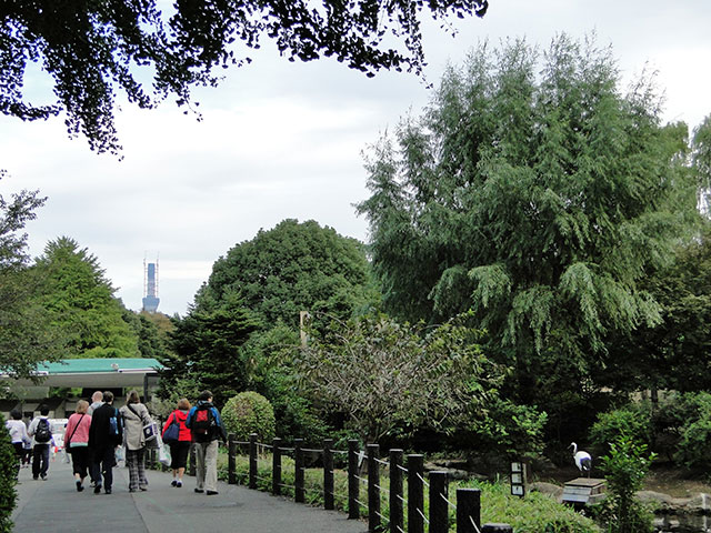 TOKYO SKY TREE from Ueno Zoo