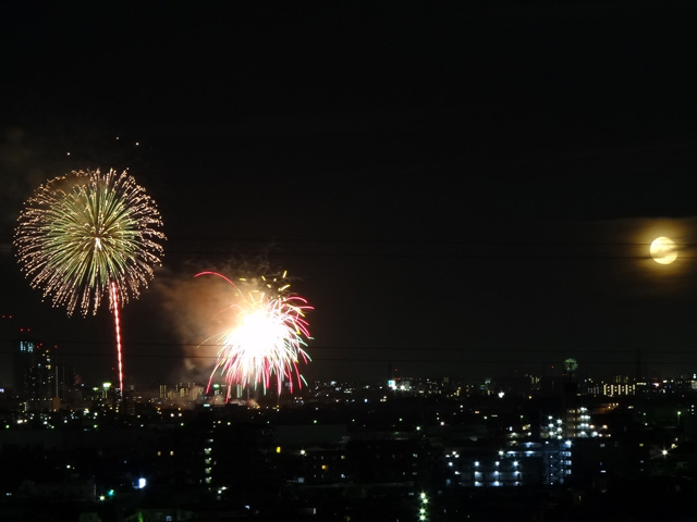 Edogawa Fireworks Festival