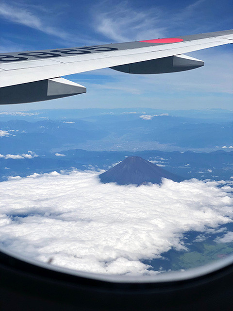 Mt. Fuji