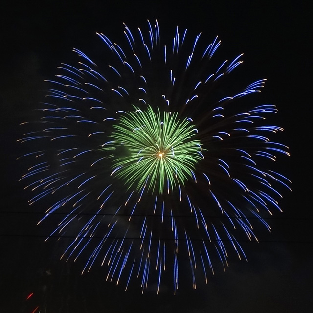 Edogawa Fireworks Festival