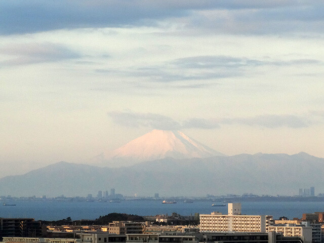 Mt. Fuji