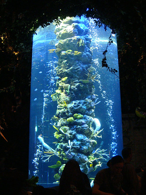 Rainforest Cafe