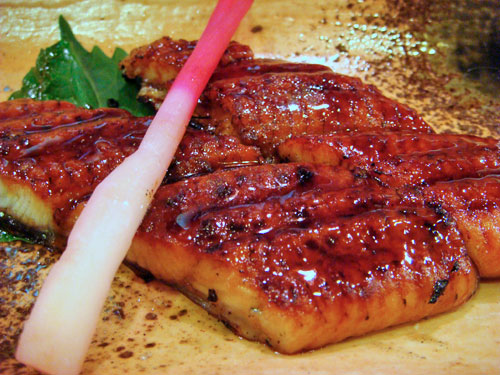 Grilled Eel