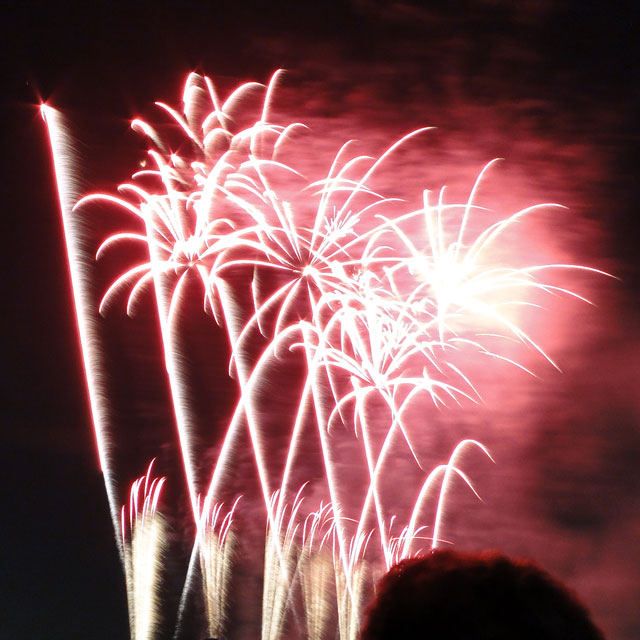 Tamagawa Fireworks Festival