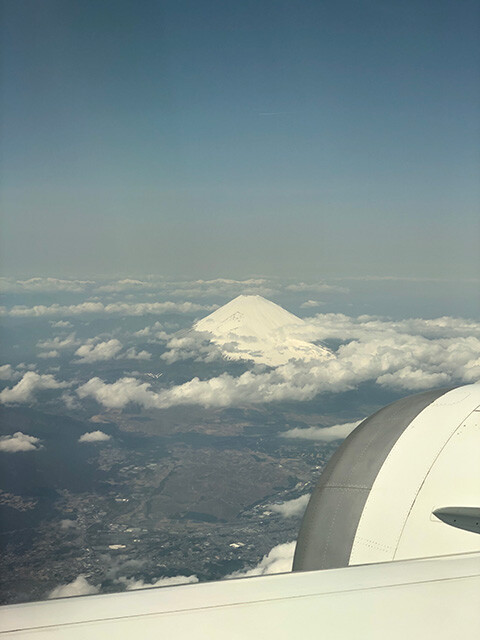 Mt. Fuji
