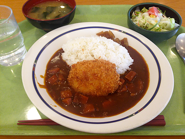 Chicken Cutlet and Curry with Rice