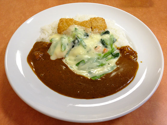 Fried Salmon Curry