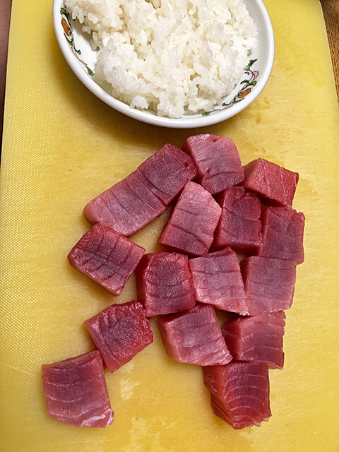 Tuna Sashimi with Rice