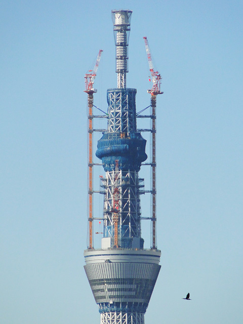 TOKYO SKY TREE