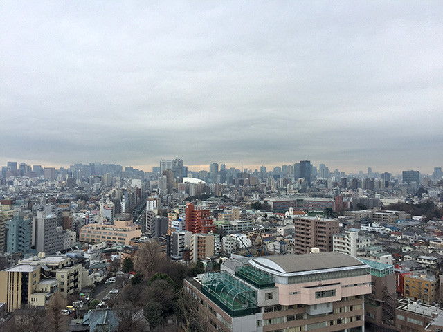 Landscape from Hakusan Sky Hall