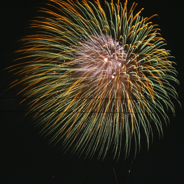 Edogawa Fireworks Festival