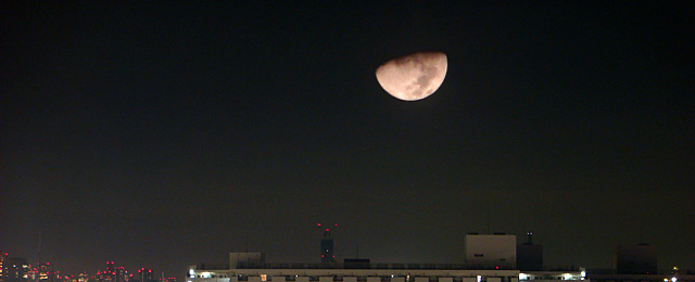 TOKYO SKY TREE with Dichotomy