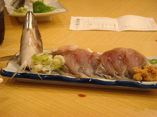 Horse Mackerel