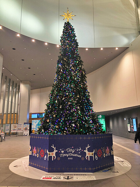 Christmas Trees in Kumamoto