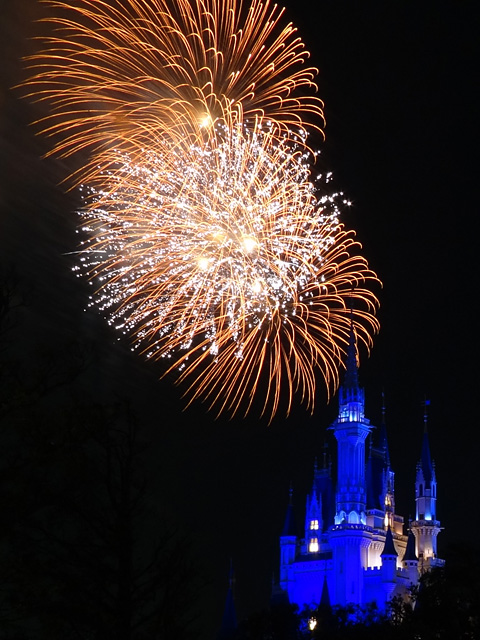 Disney Magic in the Sky