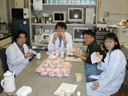 Hamburger Project 2000