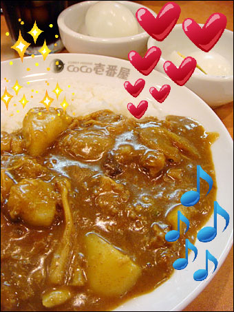 Half Size Pork Curry with Stewed Chicken and Vegetables