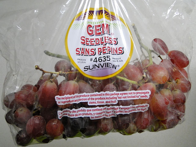 Gem Seedless