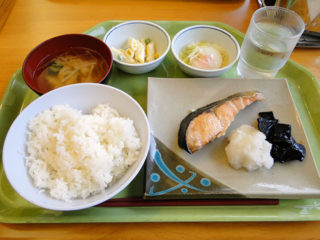 Grilled Salted Salmon Set