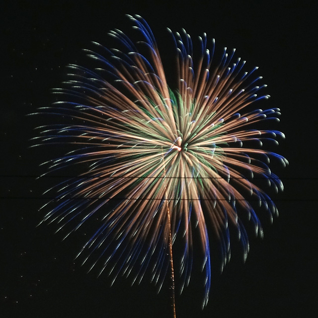 Edogawa Fireworks Festival