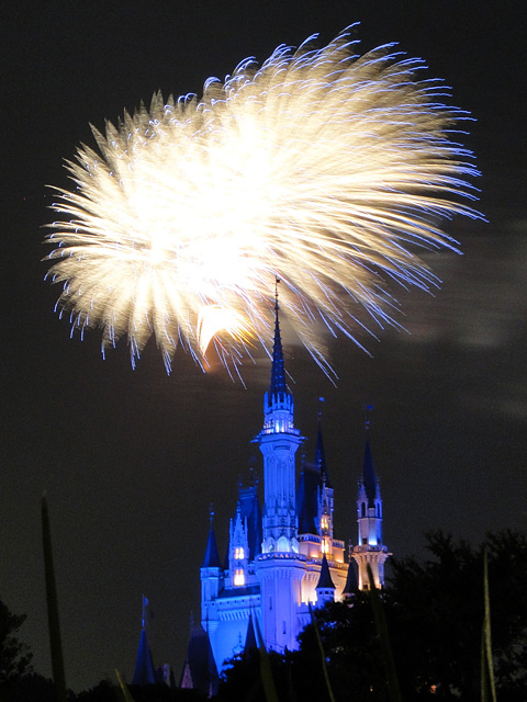 Night High Halloween