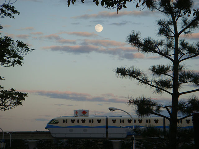 White Moon and Disney Resort Line