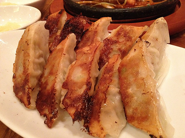 Fried Gyoza Dumplings