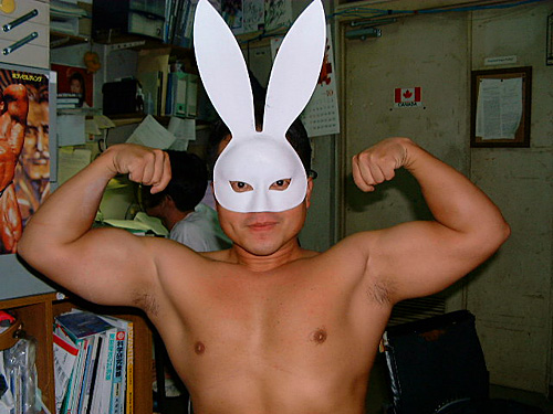 Rabbit MaCHO