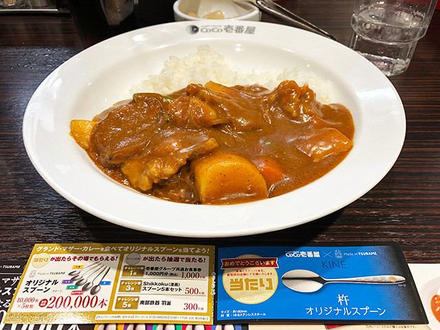 12th Grand Mother Curry