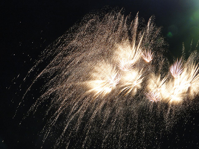 Kameido Fireworks