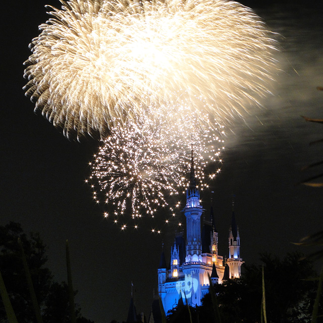 Night High Halloween