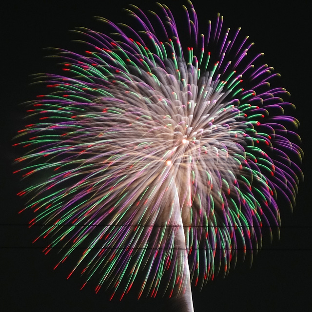 Edogawa Fireworks Festival