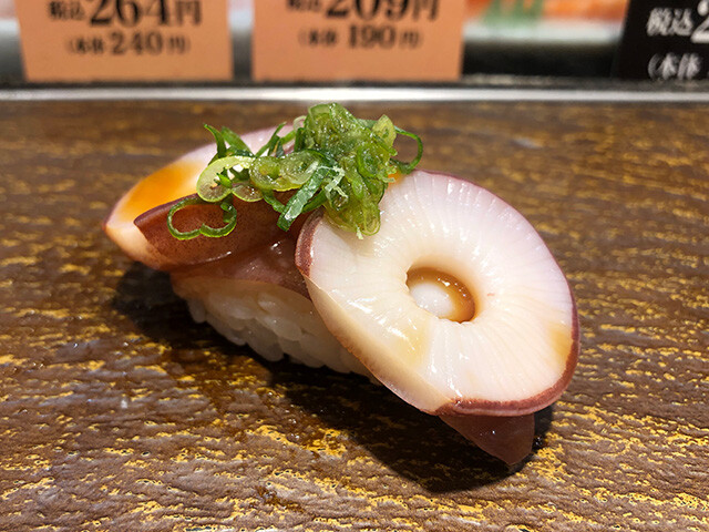 Octopus Sucker