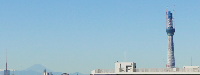 Mt. Fuji and TOKYO SKY TREE