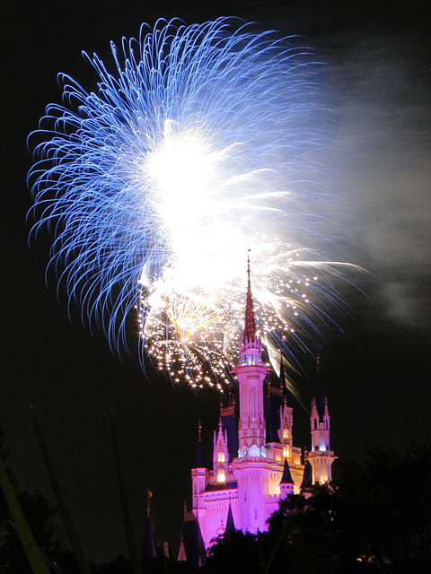 Night High Halloween