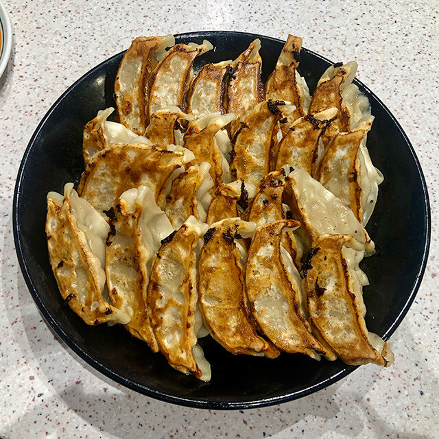 Gyoza