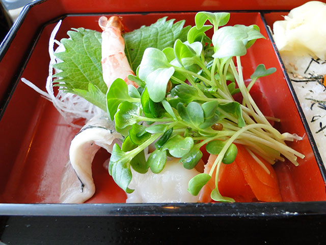 Assorted Sashimi