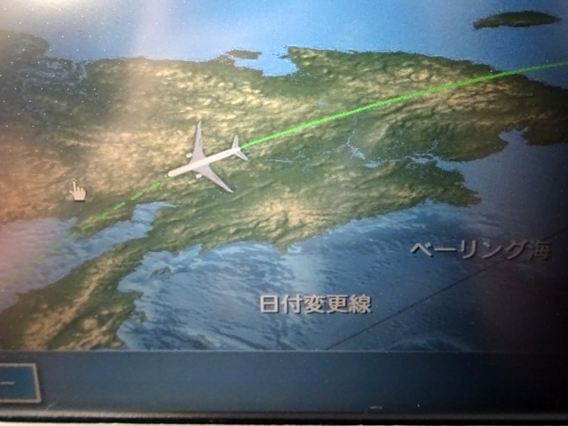 Flight Map