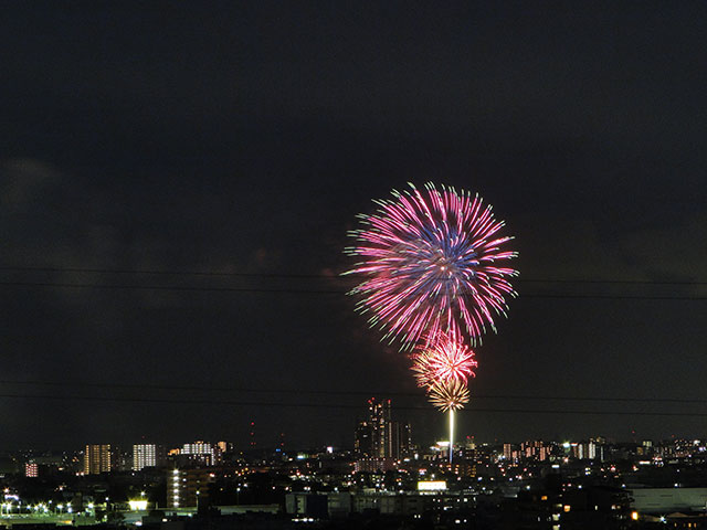 Edogawa Fireworks Festival