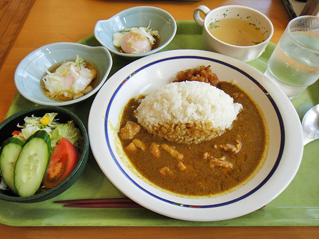 Chicken Curry