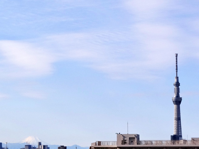 Mt. Fuji and TOKYO SKY TREE